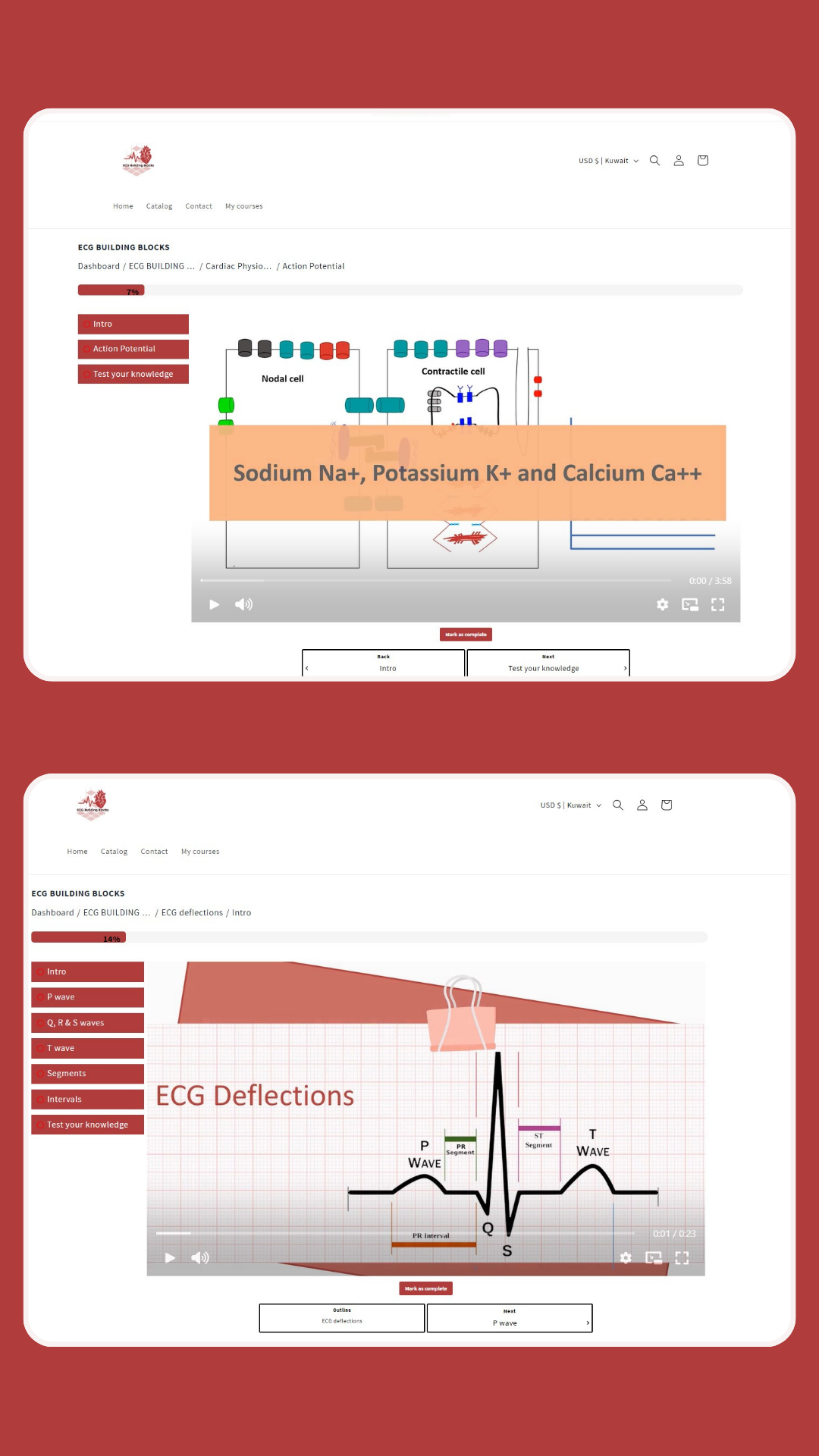 ECG Building Blocks - Online Course