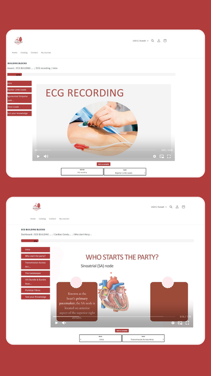 ECG Building Blocks - Online Course